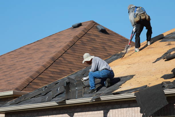 Roof Coating Services in Kulpmont, PA